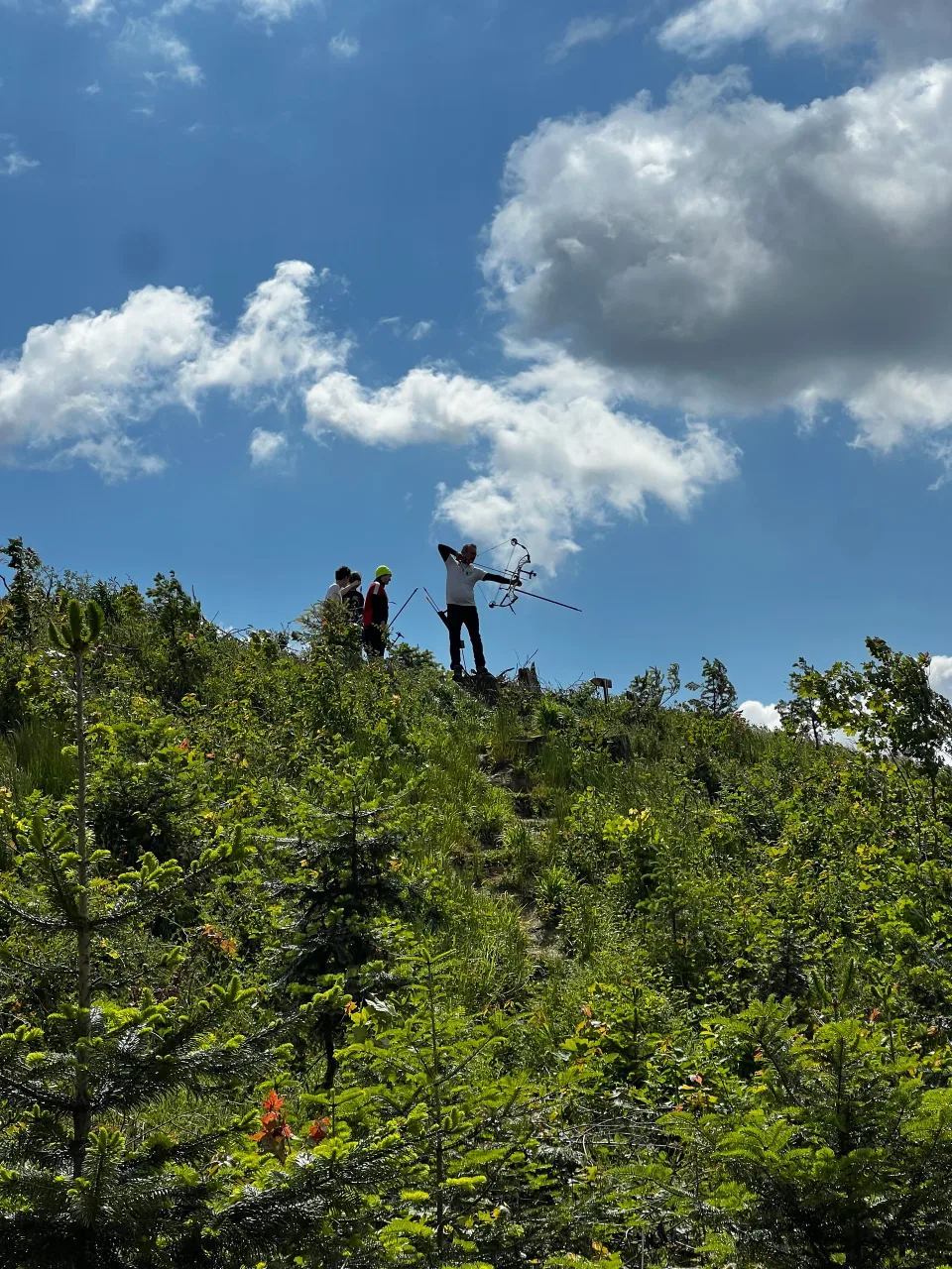 3D-Bogenparcour – Foto 8